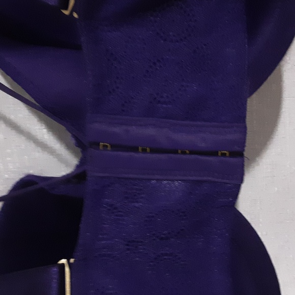 NWT ASHLEY GRAHAM Size 38G Elegant Purple Women's Bra - Picture 12 of 12